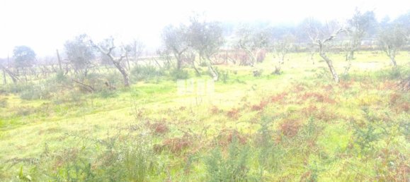 Grundstück in Soalhaes, Portugal 22740m², Nr. 49762 15