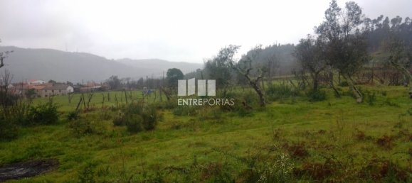 Grundstück in Soalhaes, Portugal 22740m², Nr. 49762 23