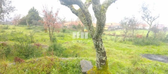 Grundstück in Soalhaes, Portugal 22740m², Nr. 49762 21