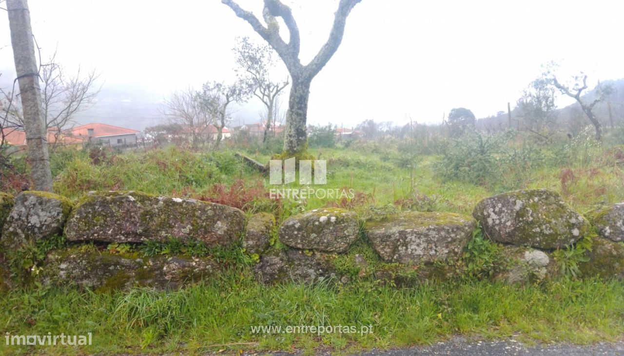 Grundstück in Soalhaes, Portugal 22740m², Nr. 49762