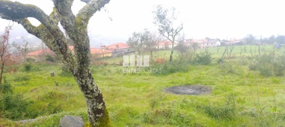 Grundstück in Soalhaes, Portugal 22740m², Nr. 49762 27