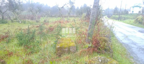 Grundstück in Soalhaes, Portugal 22740m², Nr. 49762 8