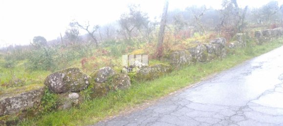 Grundstück in Soalhaes, Portugal 22740m², Nr. 49762 4