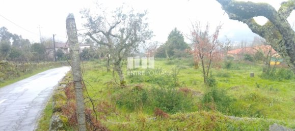 Grundstück in Soalhaes, Portugal 22740m², Nr. 49762 12