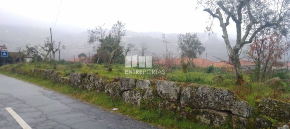 Grundstück in Soalhaes, Portugal 22740m², Nr. 49762 35