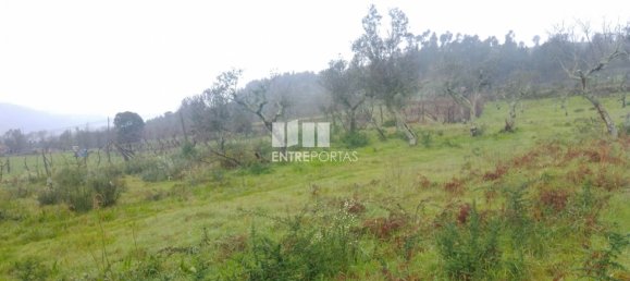 Grundstück in Soalhaes, Portugal 22740m², Nr. 49762 31