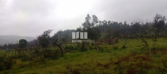 Grundstück in Soalhaes, Portugal 22740m², Nr. 49762 18