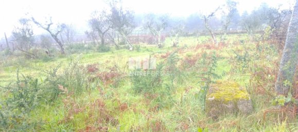 Grundstück in Soalhaes, Portugal 22740m², Nr. 49762 9