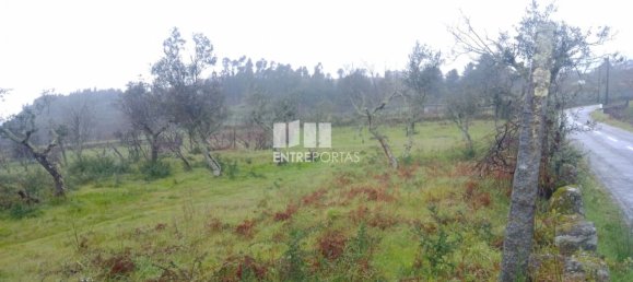 Grundstück in Soalhaes, Portugal 22740m², Nr. 49762 17