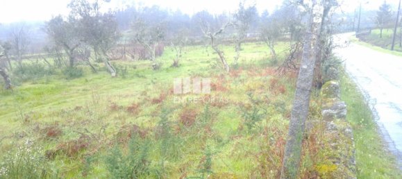 Grundstück in Soalhaes, Portugal 22740m², Nr. 49762 25