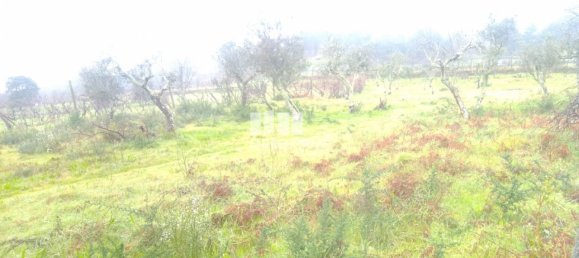 Grundstück in Soalhaes, Portugal 22740m², Nr. 49762 24