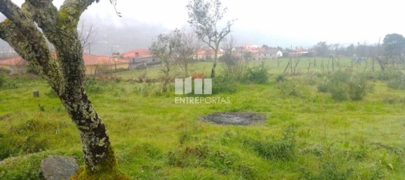 Grundstück in Soalhaes, Portugal 22740m², Nr. 49762 30