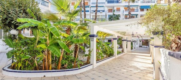 3 bedrooms Penthouse in Torrevieja, Spain No. 181553 34