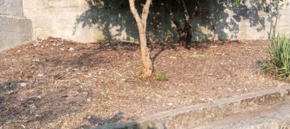 6 rooms Duplex in Lauria, Italy No. 58992 28