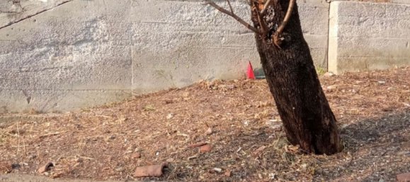 6 rooms Duplex in Lauria, Italy No. 58992 30