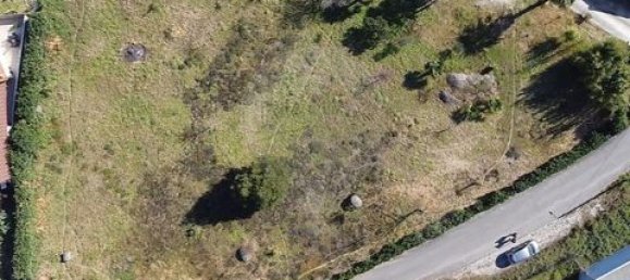 2700m² Land in Brito, Portugal No. 190095 5