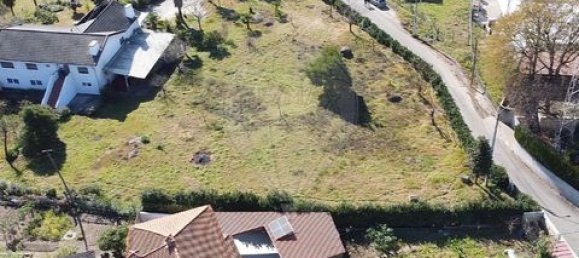 2700m² Land in Brito, Portugal No. 190095 14