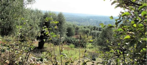 2 rooms House in Ostuni, Italy No. 103989 24