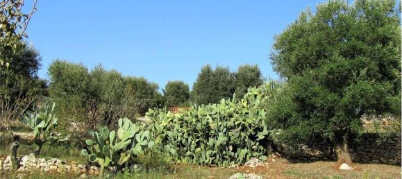 2 rooms House in Ostuni, Italy No. 103989 25