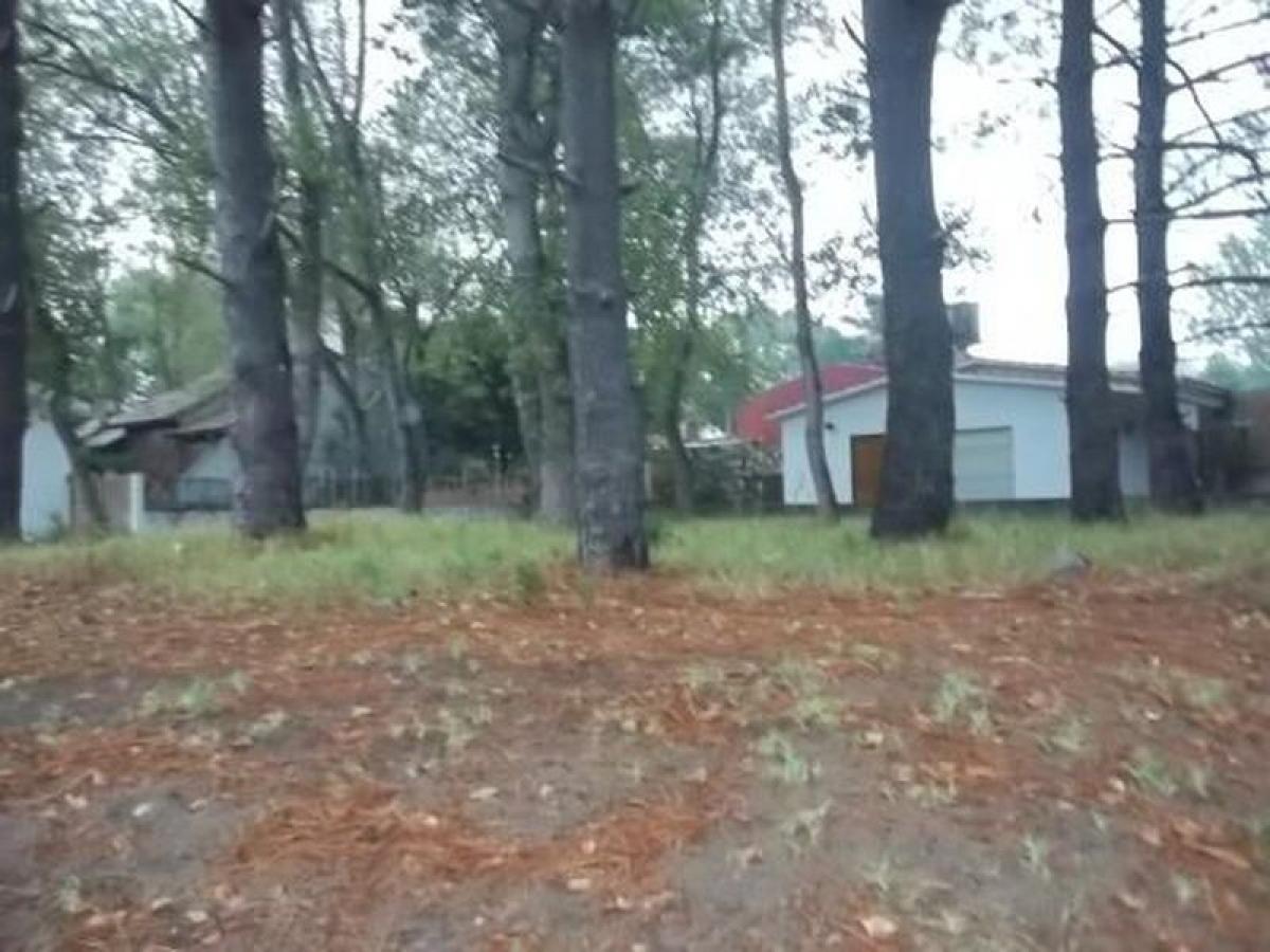 200m² Land in Mar del Plata, Argentina No. 121356