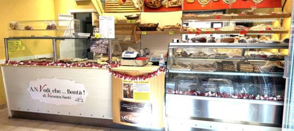 4 rooms Commercial property in Forano, Italy No. 267423 11