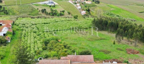 16 bedrooms House in Bombarral, Portugal No. 146240 9