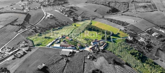 16 bedrooms House in Bombarral, Portugal No. 146240 2