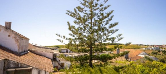 16 bedrooms House in Bombarral, Portugal No. 146240 29