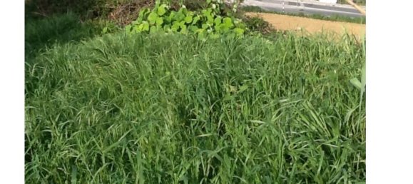 Grundstück in Almada, Portugal 8800m², Nr. 140360 23