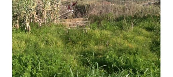 Grundstück in Almada, Portugal 8800m², Nr. 140360 16