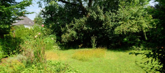 Villa de 5 dormitorios en Frankfurt am Main, Germany No. 40652 21