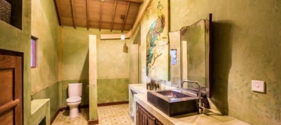 4 Schlafzimmer Villa in Canggu, Indonesia, Nr. 3527 17