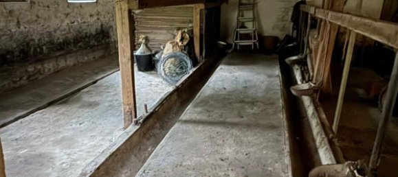 4 chambres Maison à Schleswig-Holstein, Germany No. 21130 20