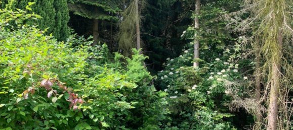 4 chambres Maison à Schleswig-Holstein, Germany No. 21130 13