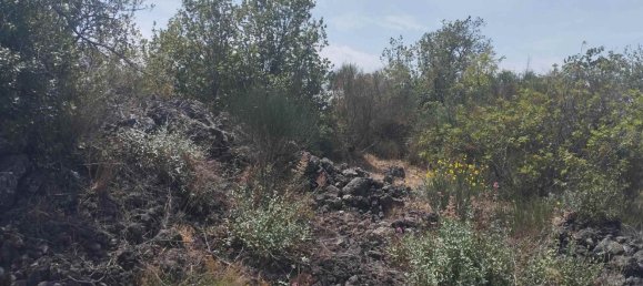 2800m² Land in Misterbianco, Italy No. 51223 18