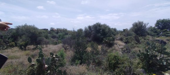 2800m² Land in Misterbianco, Italy No. 51223 36