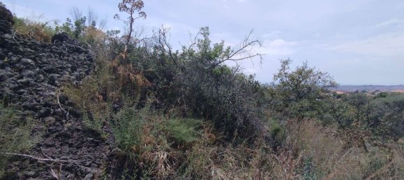 2800m² Land in Misterbianco, Italy No. 51223 26