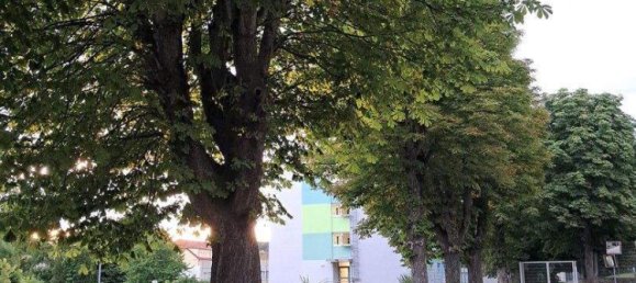 Квартира с 3 комнатами в Пинкафельд, Австрия № 210429 3