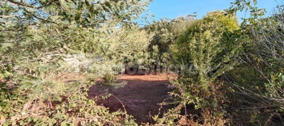 Grundstück in Lecce, Italy 11400m², Nr. 357509 20