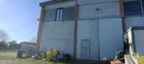 343m² Warehouse in Parma, Italy No. 308109 4
