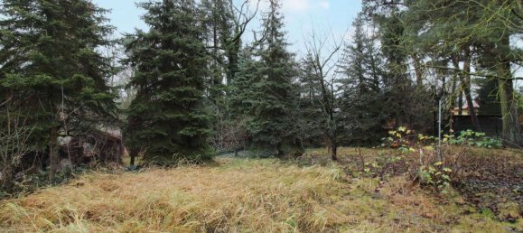 2 غرف نوم منزل في Brandenburg, Germany رقم 17684 14