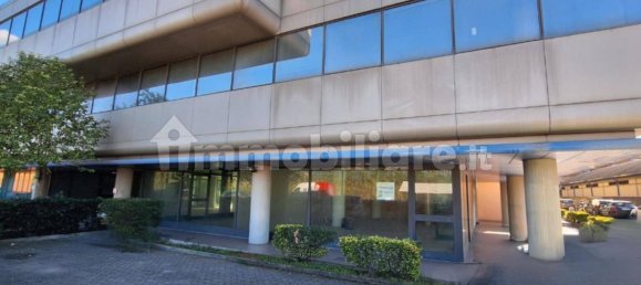 Propriété commerciale à Viareggio, Italy 271m² No. 320888 16