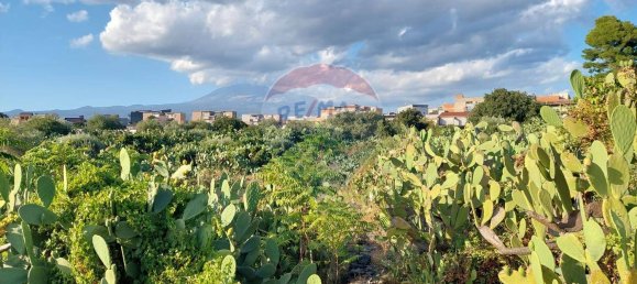  Land in Paternò, Italy No. 365806 8