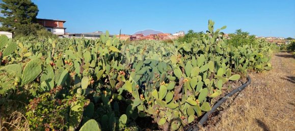  Land in Paternò, Italy No. 365806 6