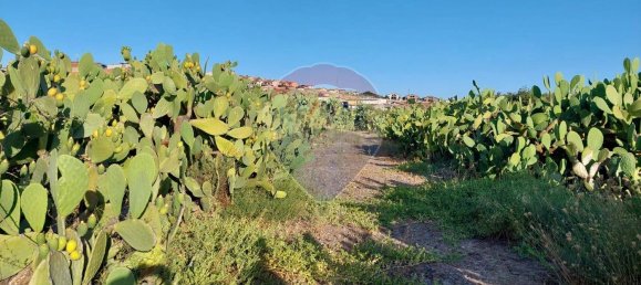  Land in Paternò, Italy No. 365806 4