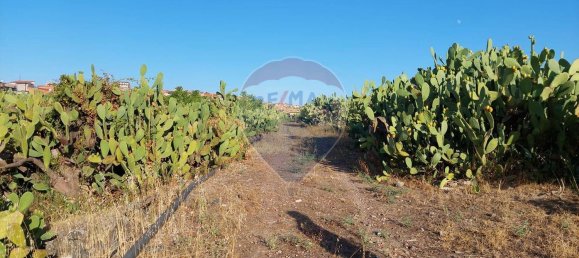  Land in Paternò, Italy No. 365806 9
