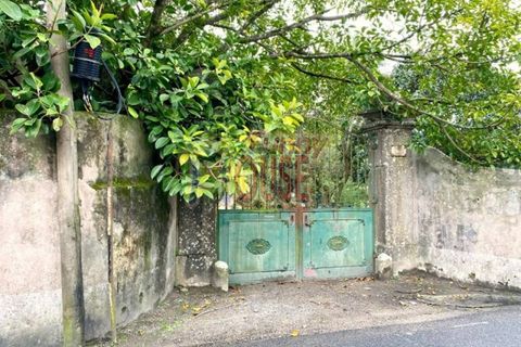 8 Schlafzimmer Haus in Sintra, Portugal, Nr. 260917