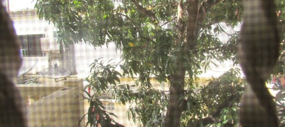 3 bedrooms Cafe / restaurant in Pattaya, Thailand No. 4019 4