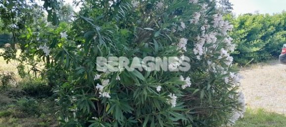 5 bedrooms House in Bergerac, France No. 301989 20