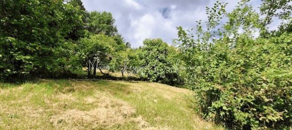 4 غرف نوم منزل في Brive-la-Gaillarde, France رقم 313303 8